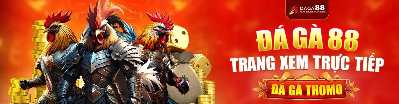 Cập nhật tin tức 08win code mới nhất