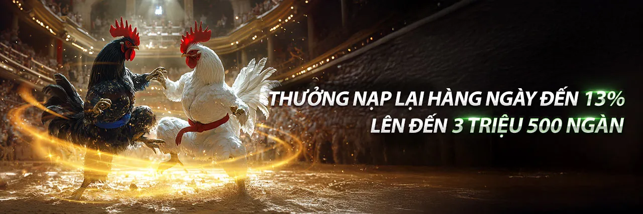 Hình ảnh đá gà trực tuyến kịch tính tại 08WIN Code